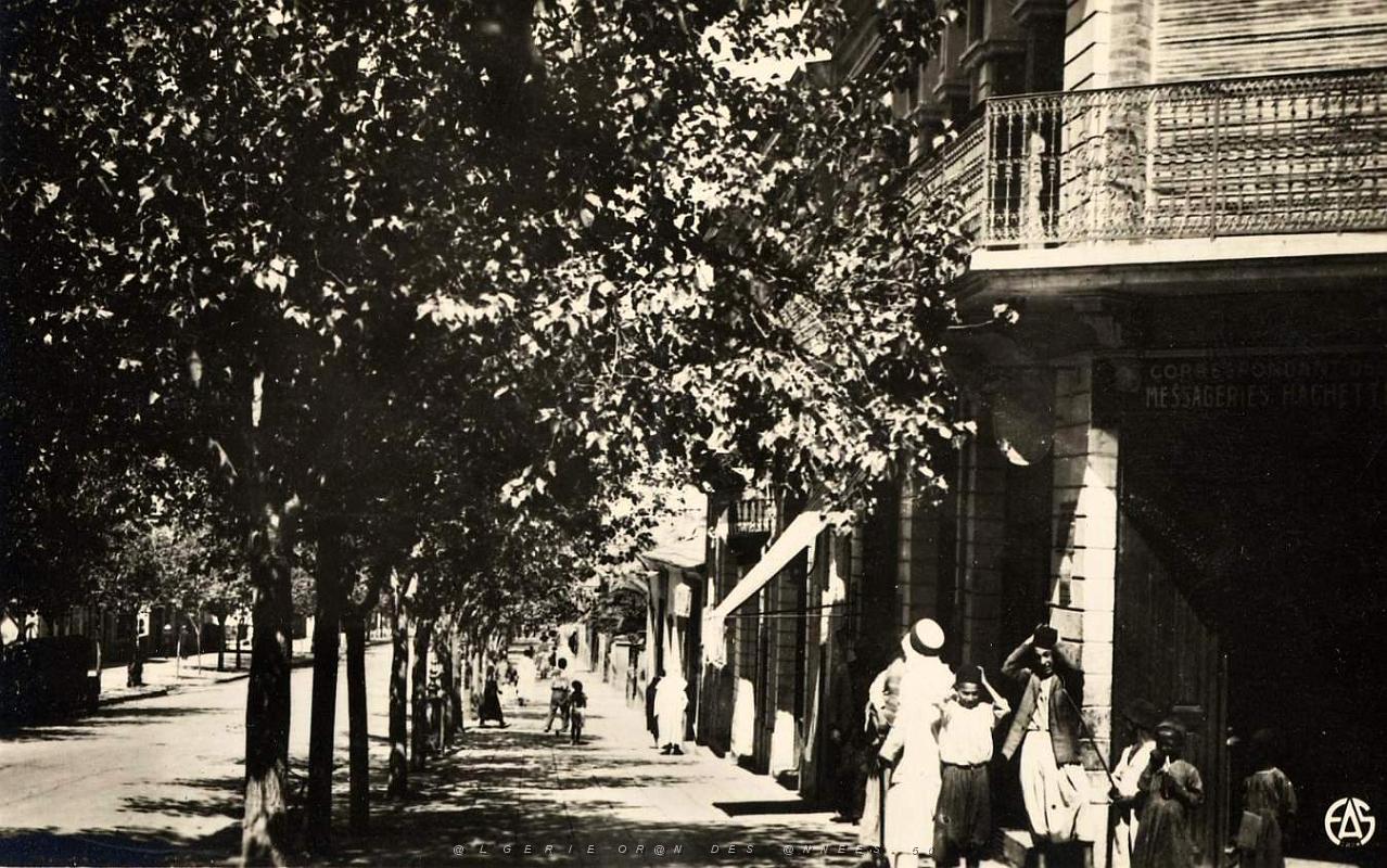 Saida 521- Avenue Gambetta COLLECTION DES AMIS DE ND DE SANTA CRUZ.jpg